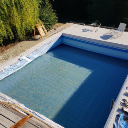 Accessoires et Produits d'Entretien : Maintenez votre Piscine dans un État Impeccable Lyon